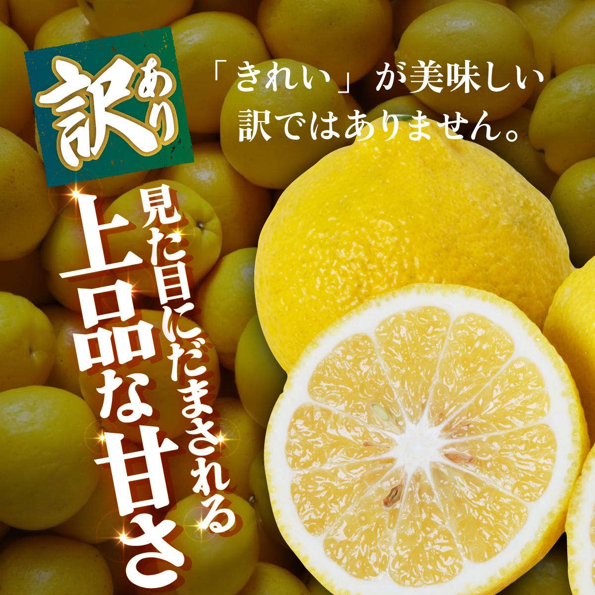 ＜【訳あり】愛媛県産 はるか 約3kg＞『2027年2月中旬～3月上旬迄順次発送予定』わけあり 訳アリ 果肉 ハルカ 産地直送 みかん 蜜柑 訳あり 果物 くだもの フルーツ ミカン 果汁 国産 特産品 株式会社三代目みかん職人 愛媛 西予市【常温】