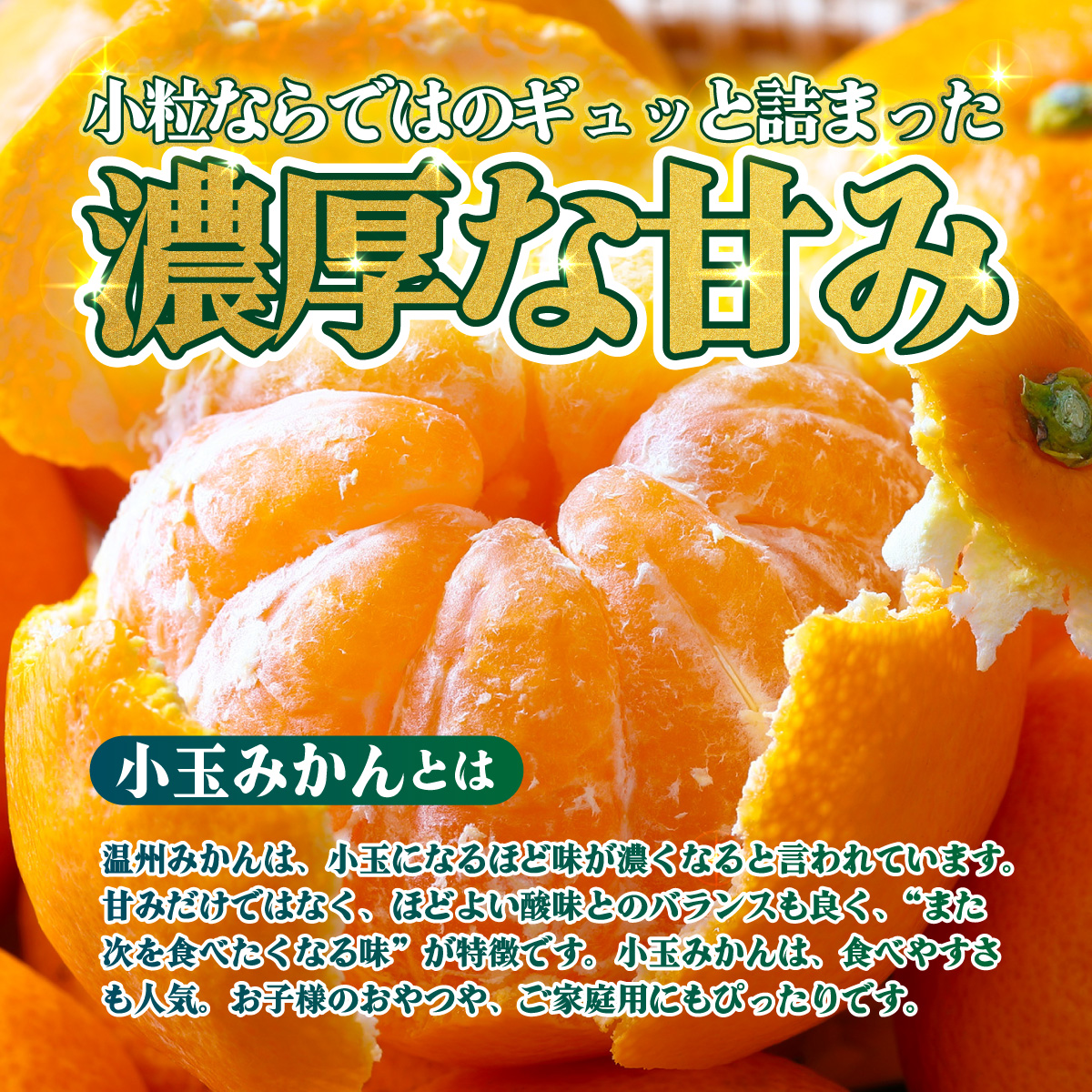 ＜【訳あり】愛媛県産 小玉みかん 約5kg＞『2026年11月上旬～1月下旬迄順次発送予定』 わけあり 訳アリ 濃厚 甘い 小さい こだま みかん 蜜柑 訳あり 果物 くだもの フルーツ ミカン 果汁 国産 特産品 株式会社三代目みかん職人 愛媛 西予市【常温】