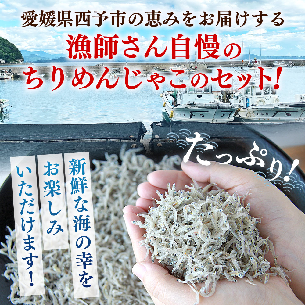 ＜【3回定期便】漁師さん自慢のちりめんじゃこ 合計700g（70g×10パック）＞ しらす シラス おじゃこ お魚 おさかな 小魚 魚介類 乾燥 海の幸 海鮮 小分け 個包装 おすそ分け 国産 産地直送 送料無料 特産品 濱田水産 愛媛県 西予市