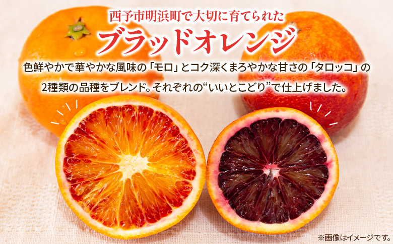 ＜ブラッドオレンジジュース 720ml 6本セット＞『1か月以内に順次発送予定』果汁 フルーツ 果物 柑橘 みかん 蜜柑 ミカン みかんジュース 飲料 ドリンク 飲み物 渡江から一歩を踏み出す会 愛媛県 西予市 【常温】