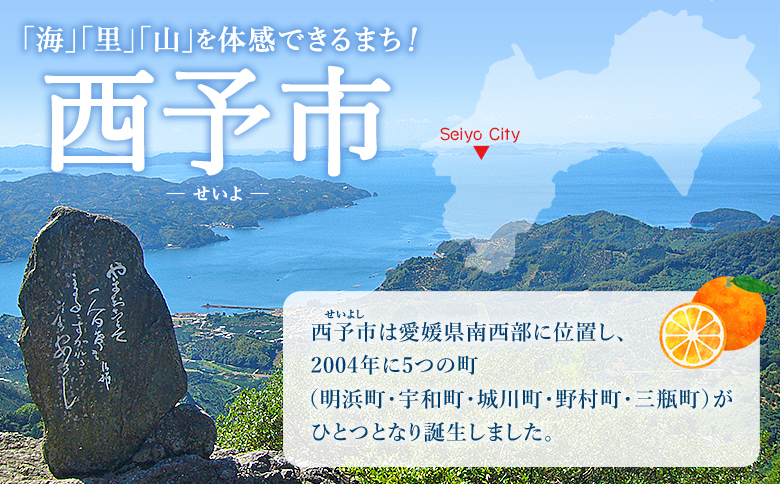 ＜温州みかん＆はるか100％ストレートジュース パウチタイプ 160ml×各2個 計4個＞『1か月以内に順次発送予定』飲み比べ セット 果物 くだもの フルーツ 柑橘類 みかん 蜜柑 ミカン みかんジュース 飲料 渡江から一歩を踏み出す会 愛媛県 西予市【常温】