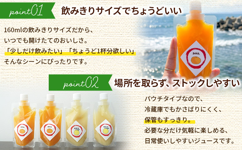 ＜100％ストレートジュース パウチタイプ 160ml×10個（2種類×5）＞『1か月以内に順次発送予定』種類はおまかせ 飲み比べ 果物 くだもの フルーツ 柑橘類 みかん 蜜柑 ミカン みかんジュース 飲料 渡江から一歩を踏み出す会 愛媛県 西予市【常温】