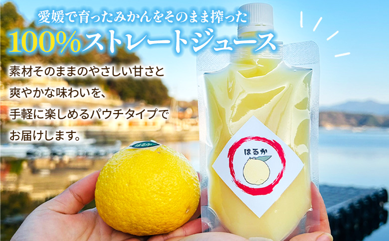 ＜温州みかん＆はるか100％ストレートジュース パウチタイプ 160ml×各3個 計6個＞『1か月以内に順次発送予定』飲み比べ セット 果物 くだもの フルーツ 柑橘類 みかん 蜜柑 ミカン みかんジュース 飲料 渡江から一歩を踏み出す会 愛媛県 西予市【常温】