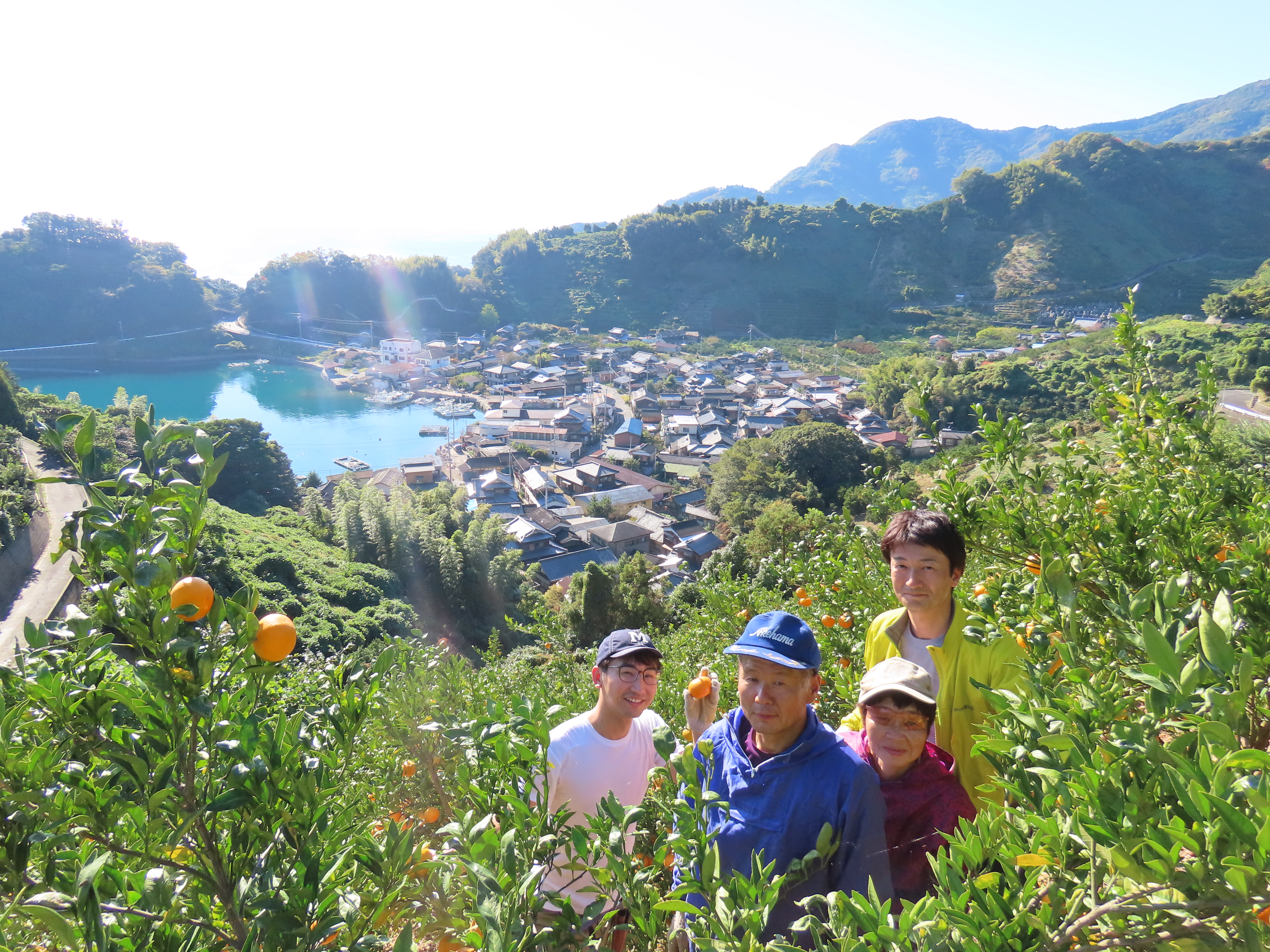 愛媛県明浜産　みかん（5kg）早生