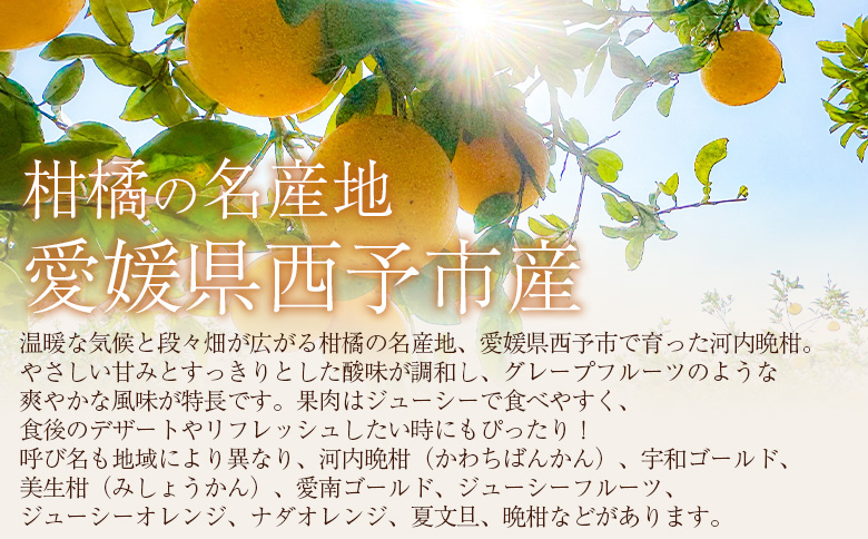 ＜訳あり 河内晩柑 約7kg＞『2026年4月中旬から順次出荷予定』かわちばんかん サイズ不揃い ご家庭用 ご自宅 訳アリ品 宇和ゴールド オレンジ 蜜柑 ミカン みかん 果物 フルーツ 柑橘 国産 愛媛県産 西予市産 西宇和 特産品 丸二青果 愛媛県西予市【常温】