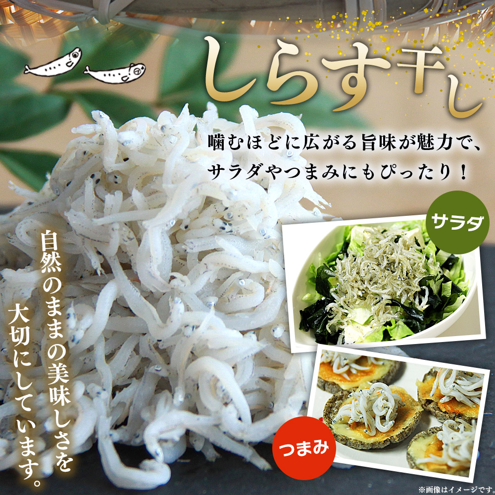 ＜【3回定期便】漁師さん自慢のしらす干し 合計500g（100g×5パック）＞ シラス 魚介類 さかな 海産物 海鮮 海の幸 小分け 国産 ご飯のお供 丼 おつまみ 晩酌 おかず おやつ 特産品 産地直送 濵田水産 愛媛県 西予市