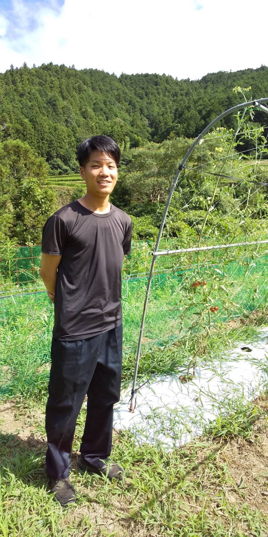 せいよのうまいもんセット（５〜７品目）