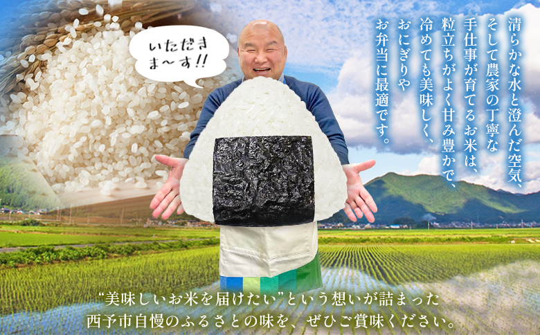 先行予約＜令和8年産 米 にじのきらめき 精米 約10kg＞ 選べる 2026年産 単一原料米 単一米 5キロ ニジノキラメキ お米 コメ こめ 白米 ご飯 ライス りの果樹園 愛媛県 西予市【常温】『2026年10月頃から順次出荷予定』