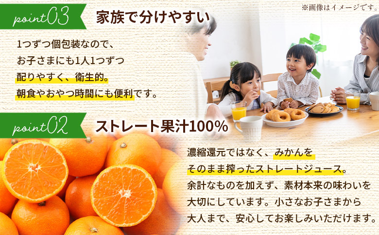 ＜100％ストレートジュース パウチタイプ 160ml×20個（2種類×10）＞『1か月以内に順次発送予定』種類はおまかせ 飲み比べ 果物 くだもの フルーツ 柑橘類 みかん 蜜柑 ミカン みかんジュース 飲料 渡江から一歩を踏み出す会 愛媛県 西予市【常温】