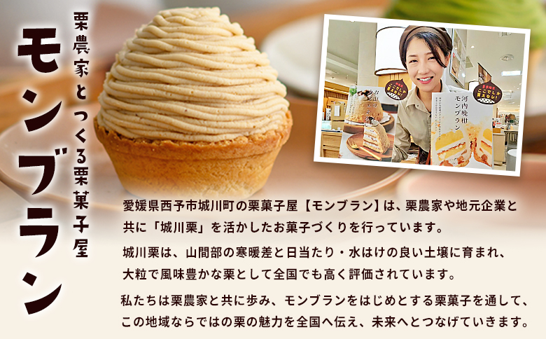 ＜城川オリジナル モンブラン 2個入り【2回定期便】＞ 洋菓子 ケーキ おかし マロン くり クリ 国産 和栗 ペースト クリーム 渋皮煮 生クリーム チーズ タルト メニークエスト 愛媛県 西予市
