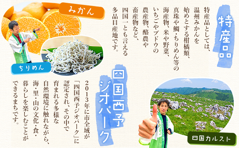 ＜温州みかん＆はるか100％ストレートジュース パウチタイプ 160ml×各2個 計4個＞『1か月以内に順次発送予定』飲み比べ セット 果物 くだもの フルーツ 柑橘類 みかん 蜜柑 ミカン みかんジュース 飲料 渡江から一歩を踏み出す会 愛媛県 西予市【常温】