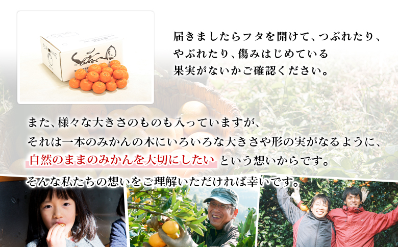 【先行予約】＜無茶々園 温州みかん 約5kg＞ 果物 くだもの ミカン 蜜柑 柑橘 フルーツ うんしゅうみかん 贈り物 ギフト おいしい 期間限定 季節限定 食べて応援 特産品 愛媛県 西予市