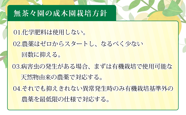 【先行予約】＜無茶々園 温州みかん 約5kg＞ 果物 くだもの ミカン 蜜柑 柑橘 フルーツ うんしゅうみかん 贈り物 ギフト おいしい 期間限定 季節限定 食べて応援 特産品 愛媛県 西予市