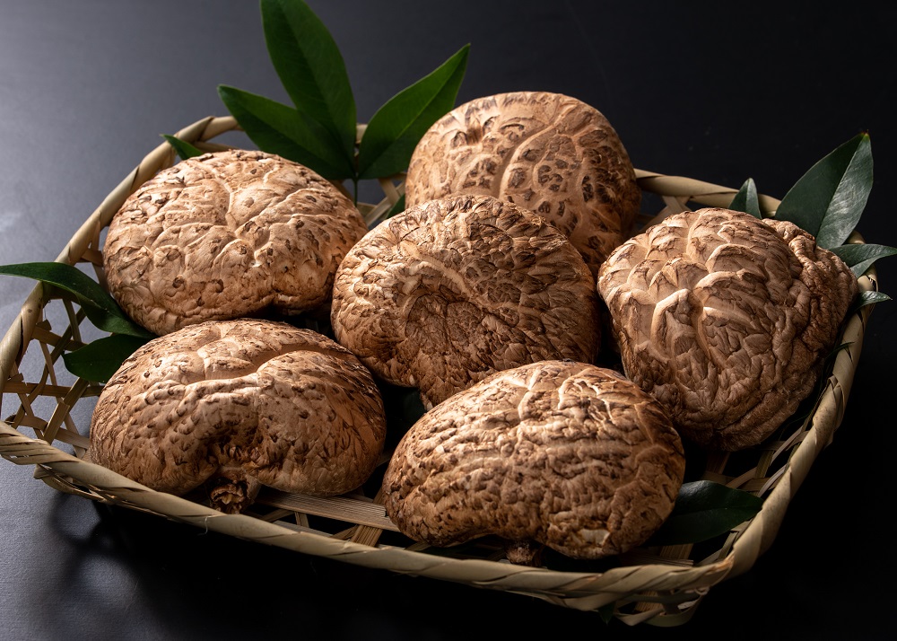 ブランド原木椎茸「霧源（MUGEN）」乾燥約150g（5〜8枚）ご家庭用