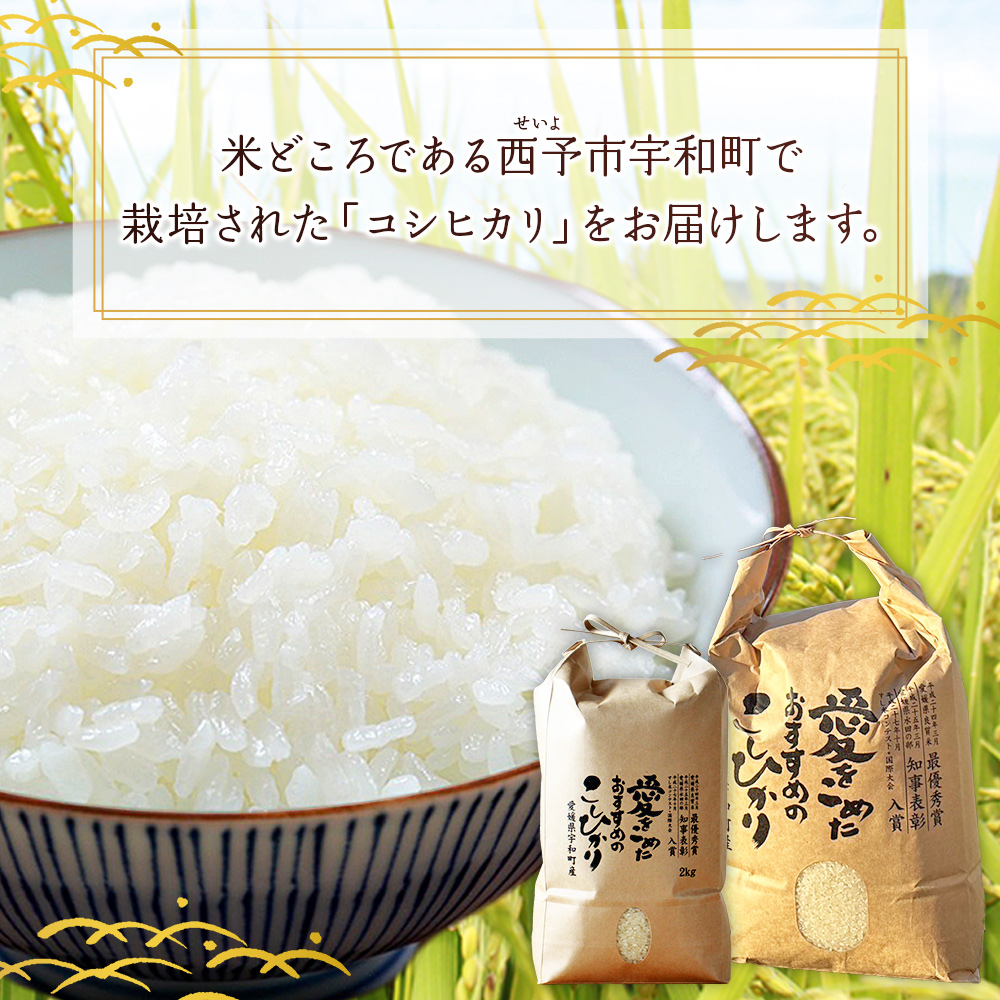 ＜令和7年産 西予市宇和町産 コシヒカリ 約10kg＞ お米 コメ こめ 白米 精米 単一原料米 ご飯 白飯 ごはん 穀物 コシヒカリ こしひかり 朝食 特産品 愛媛県産 西予市産 宇和町産 三好フク