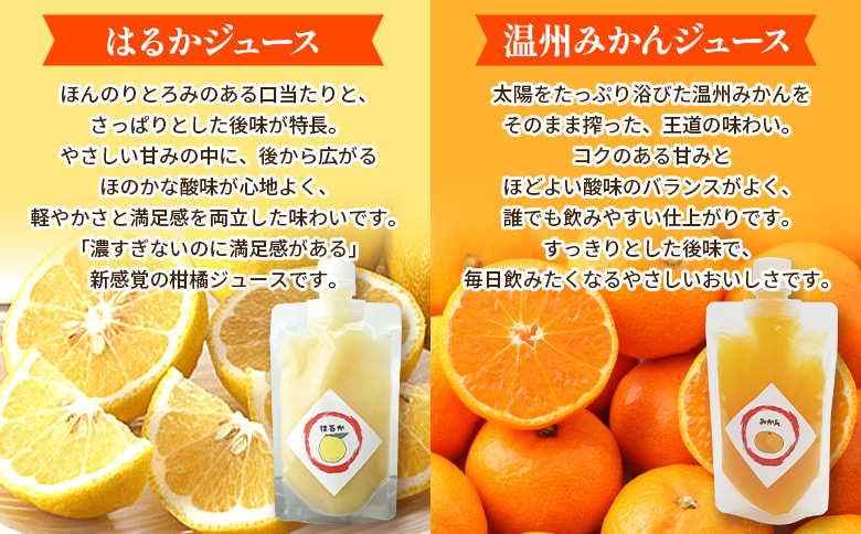 ＜はるか100％ストレートジュース パウチタイプ 160ml×2個＞『1か月以内に順次発送予定』果物 くだもの フルーツ 柑橘類 みかん 蜜柑 ミカン みかんジュース 飲料 渡江から一歩を踏み出す会 愛媛県 西予市【常温】