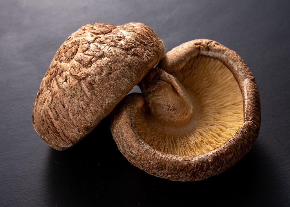 ブランド原木椎茸「霧源（MUGEN）」乾燥約150g（5〜8枚）ご家庭用