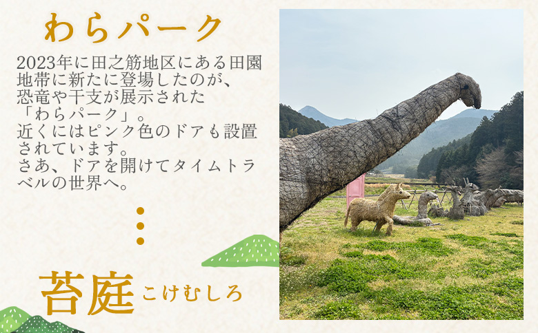 ＜ジオをまるごと楽しむE-BIKEライドツアー 宇和盆地編 （参加人数2名）＞ サイクリング 体験 ツアー 自転車ツアー アウトドア ガイド付き 観光 地域観光 絶景サイクリング Eバイク グルメ ランチ付き 初心者歓迎 旅 非日常 体験型 西予市観光物産協会 愛媛県 西予市