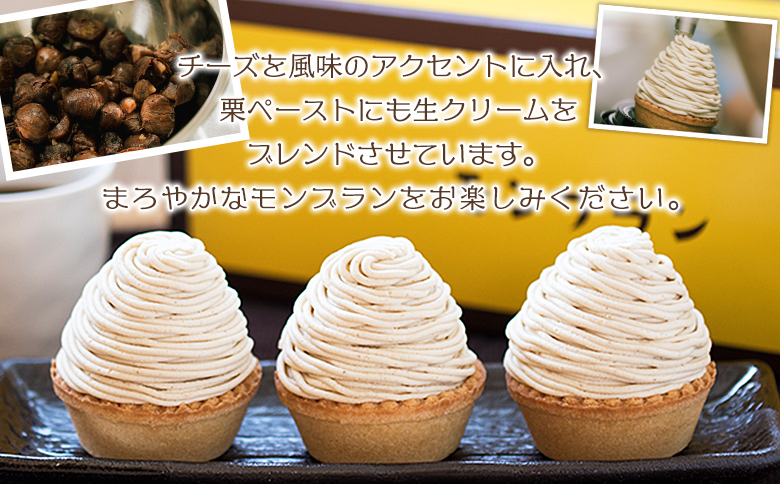 ＜城川オリジナル モンブラン 2個入り【3回定期便】＞ 洋菓子 ケーキ おかし マロン くり クリ 国産 和栗 ペースト クリーム 渋皮煮 生クリーム チーズ タルト メニークエスト 愛媛県 西予市