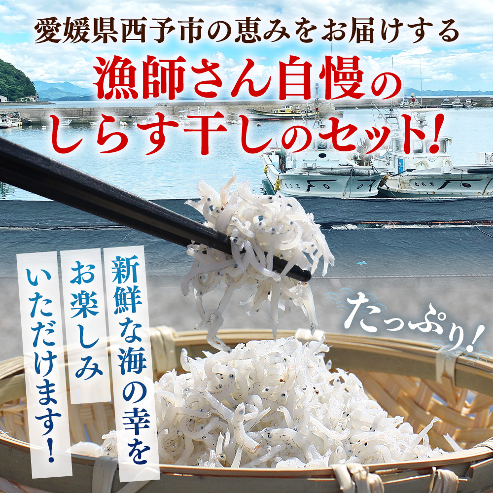 ＜【3回定期便】漁師さん自慢のしらす干し 合計500g（100g×5パック）＞ シラス 魚介類 さかな 海産物 海鮮 海の幸 小分け 国産 ご飯のお供 丼 おつまみ 晩酌 おかず おやつ 特産品 産地直送 濵田水産 愛媛県 西予市