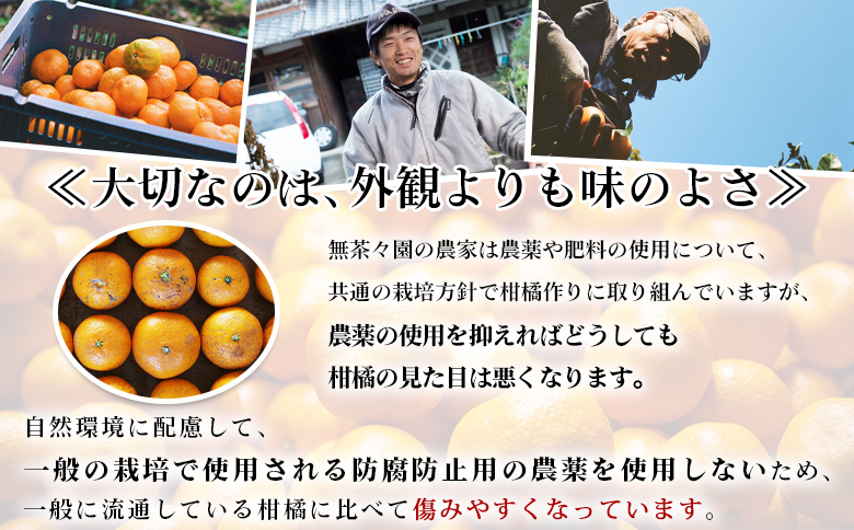 【先行予約】＜無茶々園 温州みかん 約5kg＞ 果物 くだもの ミカン 蜜柑 柑橘 フルーツ うんしゅうみかん 贈り物 ギフト おいしい 期間限定 季節限定 食べて応援 特産品 愛媛県 西予市