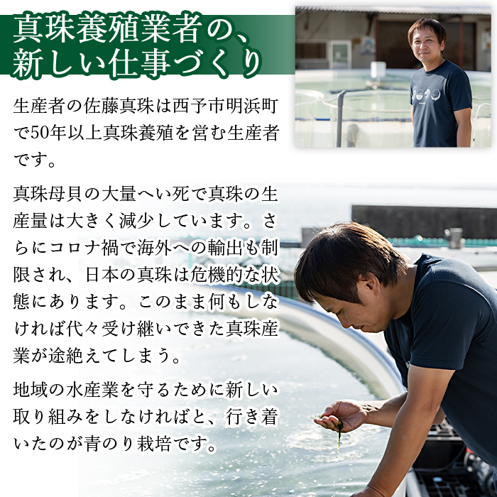 ＜【6回定期便】打ち抜き海水で育てた「すじ青のり」（粉末3g×2パック）＞ 甲殻類アレルギーフリー 色づけ 香りづけ お好み焼き たこ焼き 焼きそば おはぎ ピザ お吸い物 茶碗蒸し 佐藤真珠 愛媛県 西予市