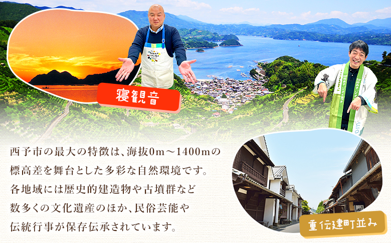 ＜温州みかん＆はるか100％ストレートジュース パウチタイプ 160ml×各3個 計6個＞『1か月以内に順次発送予定』飲み比べ セット 果物 くだもの フルーツ 柑橘類 みかん 蜜柑 ミカン みかんジュース 飲料 渡江から一歩を踏み出す会 愛媛県 西予市【常温】