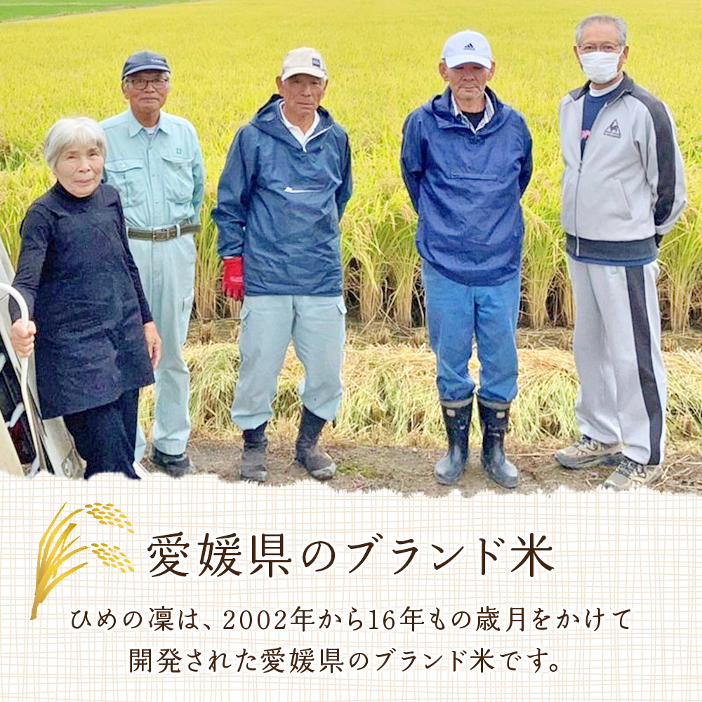 ＜令和7年産 西予市宇和町産 特別栽培米コシヒカリ・ひめの凜 食べ比べセット（各約5kg）＞ お米 コメ こめ 白米 精米 単一原料米 穀物 こしひかり ひめのりん 朝食 低農薬 特産品 三好フク 愛媛県