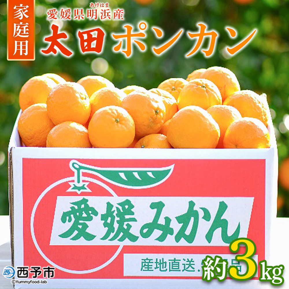 ＜太田ポンカン 家庭用 約3kg＞ 果物 くだもの フルーツ みかん ミカン 柑橘 太田ぽんかん おおたぽんかん オオタポンカン ぽんかん 訳あり ご自宅用 特産品 株式会社笑丸 愛媛県 西予市