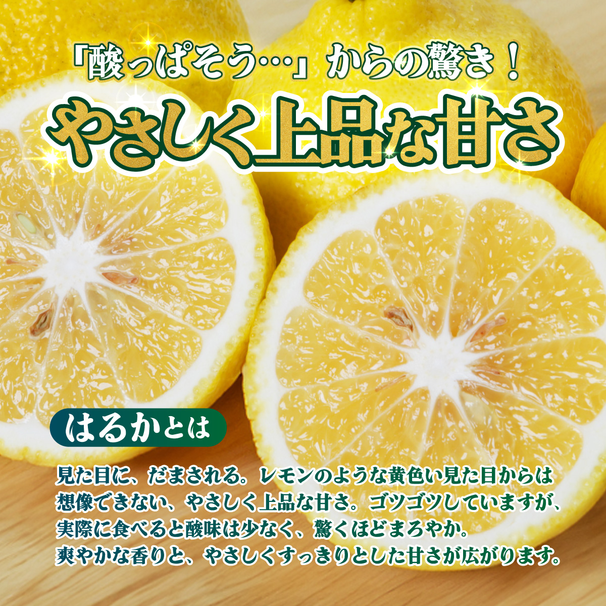 ＜【訳あり】愛媛県産 はるか 約3kg＞『2027年2月中旬～3月上旬迄順次発送予定』わけあり 訳アリ 果肉 ハルカ 産地直送 みかん 蜜柑 訳あり 果物 くだもの フルーツ ミカン 果汁 国産 特産品 株式会社三代目みかん職人 愛媛 西予市【常温】