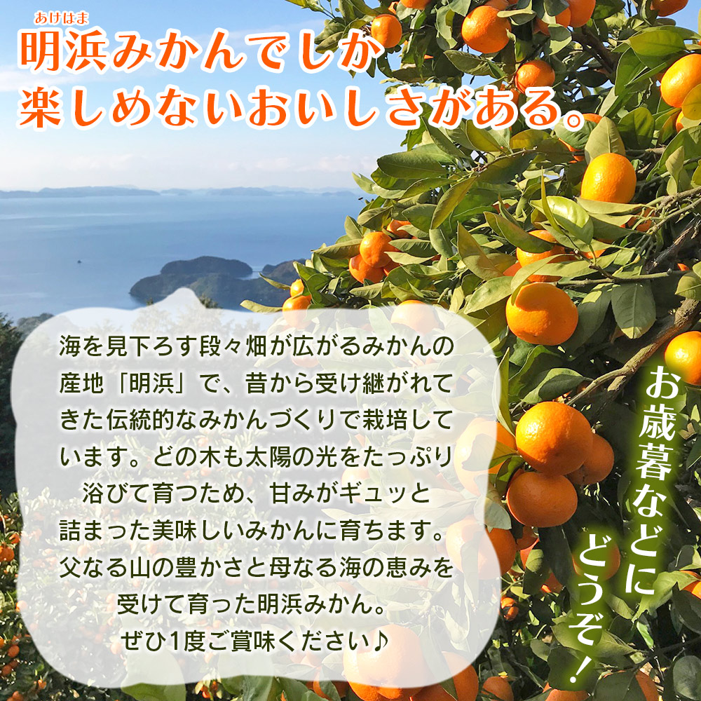 ＜愛媛県明浜産 天晴みかん（温州みかん）約5kg 小玉サイズ＞ 家庭用 訳あり ワケアリ 果物 くだもの フルーツ ミカン 柑橘 特産品 笑丸 愛媛県 西予市