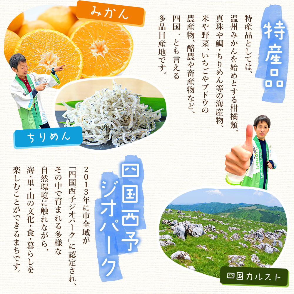 先行予約＜訳あり 大玉 愛媛みかん 合計約2.5kg＞ 『2026年11月以降順次出荷予定』温州 みかん フレッシュ ご家庭用 ご自宅 蜜柑 愛媛県産 果肉 お試し 果物 柑橘 フルーツ オレンジ 国産 産地直送 ミヤモトオレンジガーデン 愛媛県 西予市【常温】