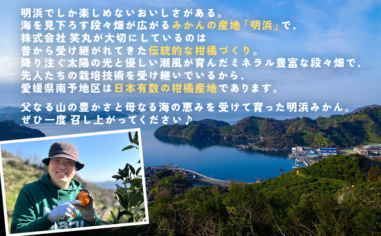 【先行予約】＜伊予柑 家庭用 約7kg＞ ご家庭用 いよかん イヨカン みかん 蜜柑 柑橘 訳あり 果物 くだもの フルーツ ミカン 愛媛 国産 7キロ ジューシー 明浜 特産品 笑丸 愛媛県 西予市【常温】『2027年1月下旬より順次出荷予定』