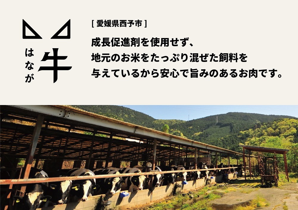 熟成肉 はなが牛ロースステーキ