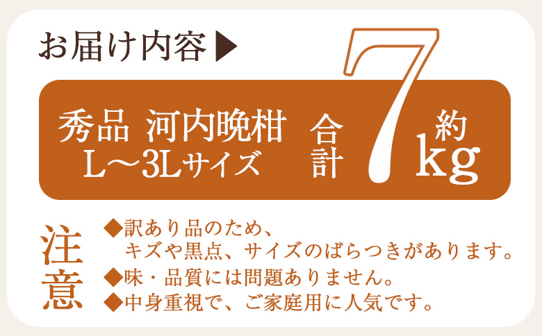 ＜秀品 河内晩柑 (L～3Lサイズ) 約7kg＞『2026年4月中旬から順次出荷予定』かわちばんかん 美生柑 宇和ゴールド オレンジ 和製グレープフルーツ 蜜柑 ミカン みかん 果物 フルーツ 柑橘 国産 愛媛県産 西予市産 西宇和 特産品 丸二青果 愛媛県西予市【常温】