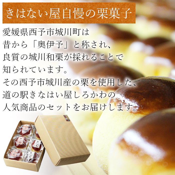 ＜栗まんじゅう2種セット「想い栗」と「想われ栗」 6個入り（各3個）＞お菓子 詰め合わせ 和菓子 くり マロン 和栗 お茶菓子 スイーツ 手土産 饅頭 白餡 渋皮煮 道の駅きなはい屋 城川ファクトリー 愛媛県 西予市