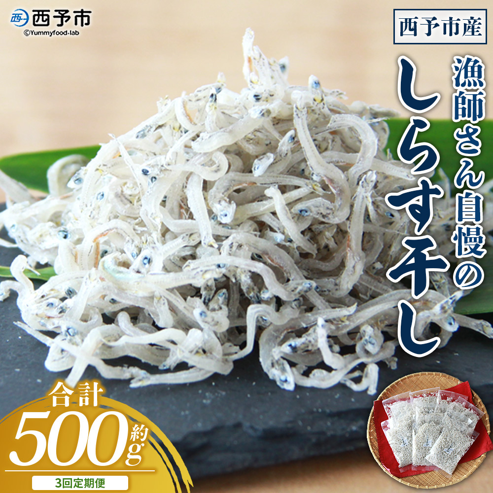 ＜【3回定期便】漁師さん自慢のしらす干し 合計500g（100g×5パック）＞ シラス 魚介類 さかな 海産物 海鮮 海の幸 小分け 国産 ご飯のお供 丼 おつまみ 晩酌 おかず おやつ 特産品 産地直送 濵田水産 愛媛県 西予市