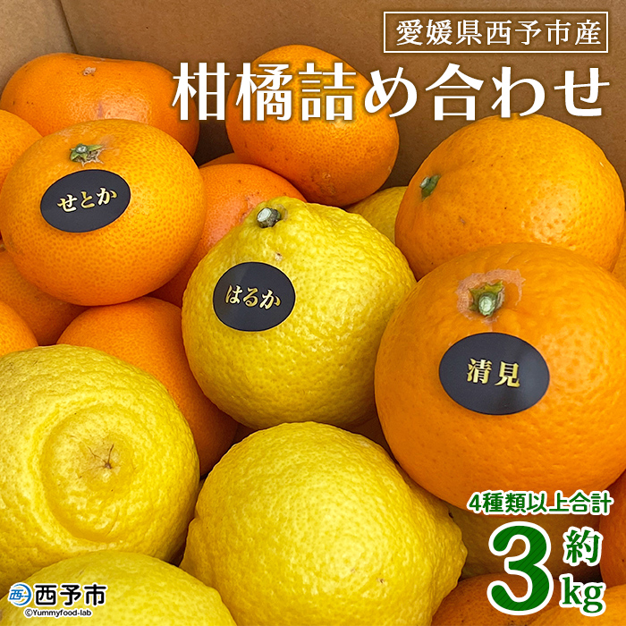 ＜愛媛県西予市産 柑橘詰め合わせ 合計約３kg＞ 果物 フルーツ おまかせ お楽しみ みかん ミカン 食べ比べ 詰合せ セット ご家庭用 柑橘 愛媛県 西予市