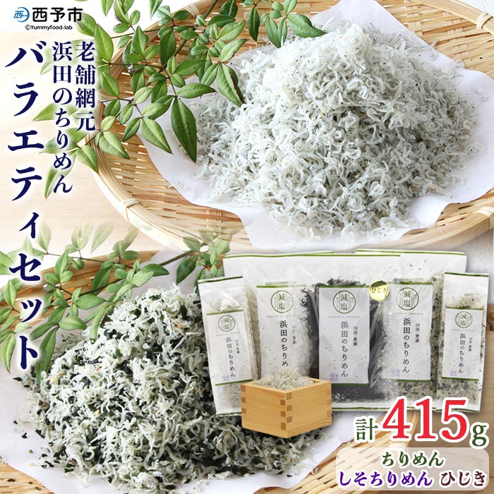 ＜老舗網元 浜田のちりめん バラエティセット＞ 詰め合わせ かたくちいわし カタクチイワシ 小魚 しそ ひじき のし対応可 お祝い 内祝い ギフト 贈答 贈り物 プレゼント 乾物 お土産 小分け 国産 マルヨシ水産 特産品 愛媛県 西予市