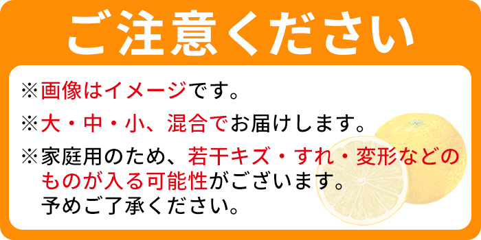 ＜でん助農園の温州みかん（極早生 家庭用）約10kg＞ 果物 フルーツ ミカン オレンジ 柑橘 自宅用 西宇和産 産地直送 愛媛県 西予市