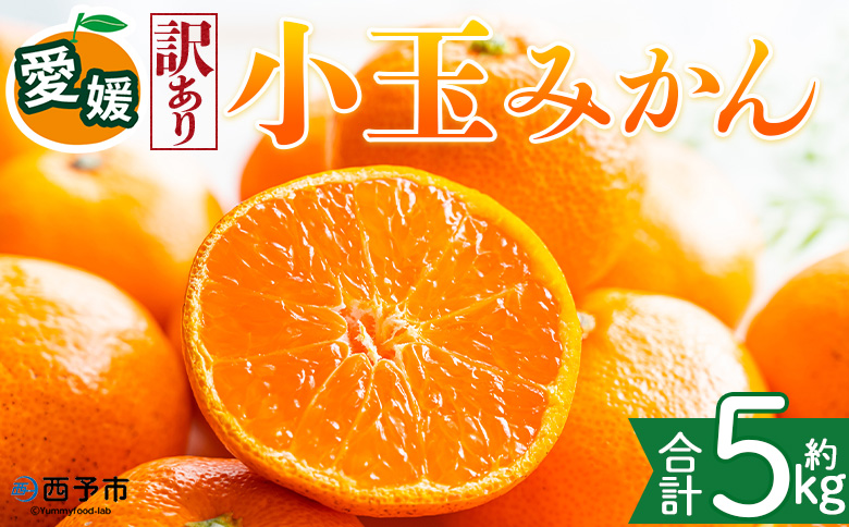＜【訳あり】愛媛県産 小玉みかん 約5kg＞『2026年11月上旬～1月下旬迄順次発送予定』 わけあり 訳アリ 濃厚 甘い 小さい こだま みかん 蜜柑 訳あり 果物 くだもの フルーツ ミカン 果汁 国産 特産品 株式会社三代目みかん職人 愛媛 西予市【常温】