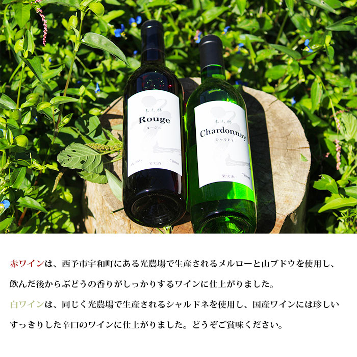 ＜光ワイン「赤」「白」各1本セット＞ お酒 アルコール お祝い 内祝い 家飲み 宅飲み 乾杯 光農場 特産品 愛媛県 西予市