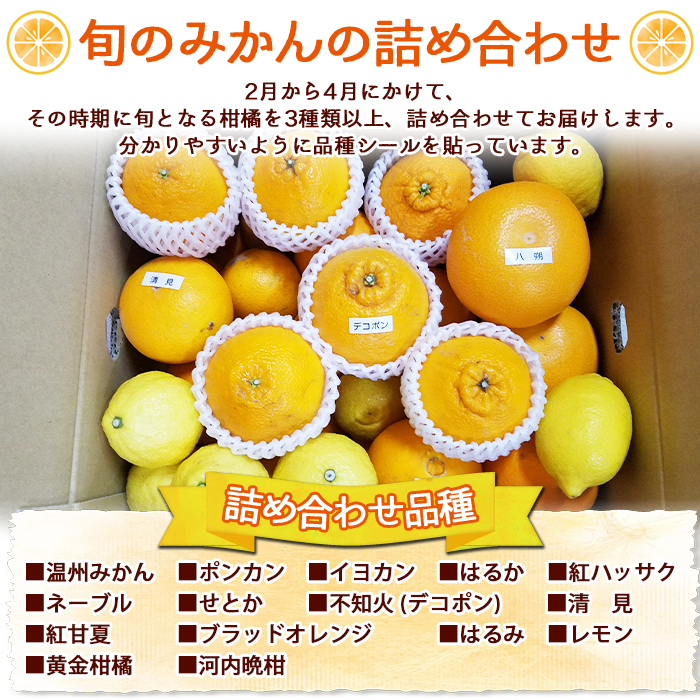 ＜愛媛県明浜産 旬の柑橘 宝石箱（3種類以上詰め合わせ）約7kg＞温州みかん ポンカン イヨカン はるか 紅ハッサク ネーブル せとか 不知火 デコポン 清見 紅甘夏 ブラッドオレンジ 宇都宮農園 西予市