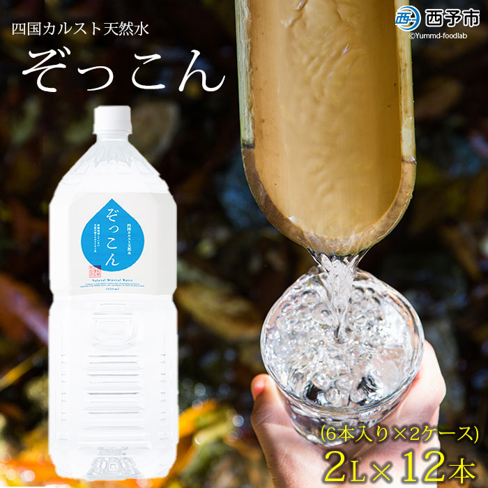 ＜四国カルスト天然水ぞっこん 2L(6本入り)×2ケース 計12本＞ 飲料 水 みず 中硬水 弱アルカリイオン水 ペットボトル ウォーター バナジウム 備蓄 防災 キャンプ アウトドア 国産 特産品 ぞっこん四国 愛媛県 西予市