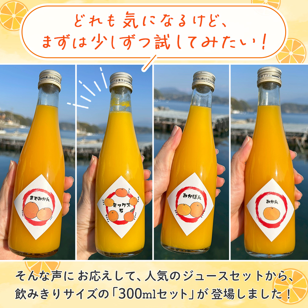 ＜一歩会 ジュエリーボックス ジュース飲み比べセット ミニ 300ml×4本入り＞ 愛媛 果汁 100% ジュース ストレートジュース みかんジュース セット 柑橘 飲料 オレンジ 特産品 渡江から一歩を踏み出す会 愛媛県 西予市