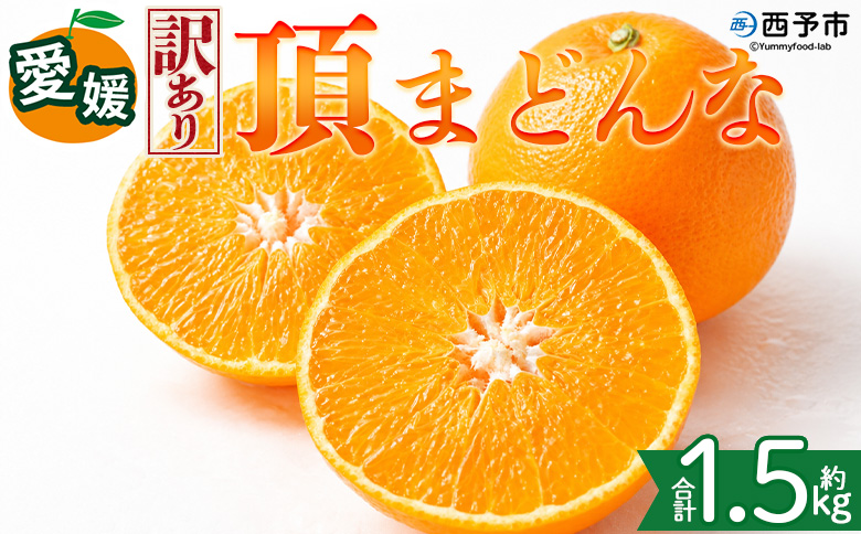 ＜【訳あり】愛媛県産 頂まどんな 約1.5kg＞『2026年11月下旬～1月上旬迄順次発送予定』 わけあり 訳アリ 甘い とろける 食感 ゼリー食感 マドンナ 高級柑橘 みかん 蜜柑 果物 くだもの フルーツ ミカン 果汁 国産 特産品 株式会社三代目みかん職人 愛媛 西予市【常温】