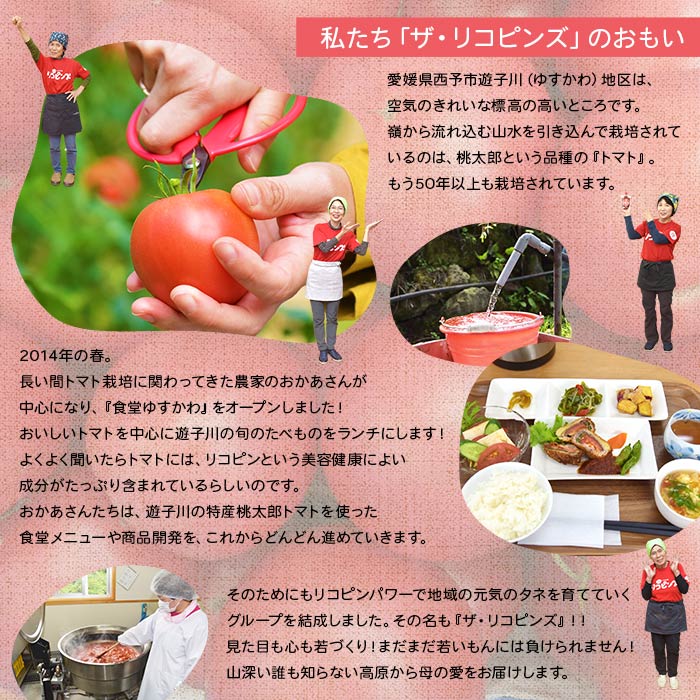 ＜お料理の決め手！何にでも合う トマト調味料セット（トマトユズポン・大人ケチャップ 各1個）＞ とまと 野菜 ゆず ポン酢 完熟 調味料 詰め合わせ ギフト 食べて応援 国産 特産品 遊子川ザ・リコピンズ 愛媛県 西予市