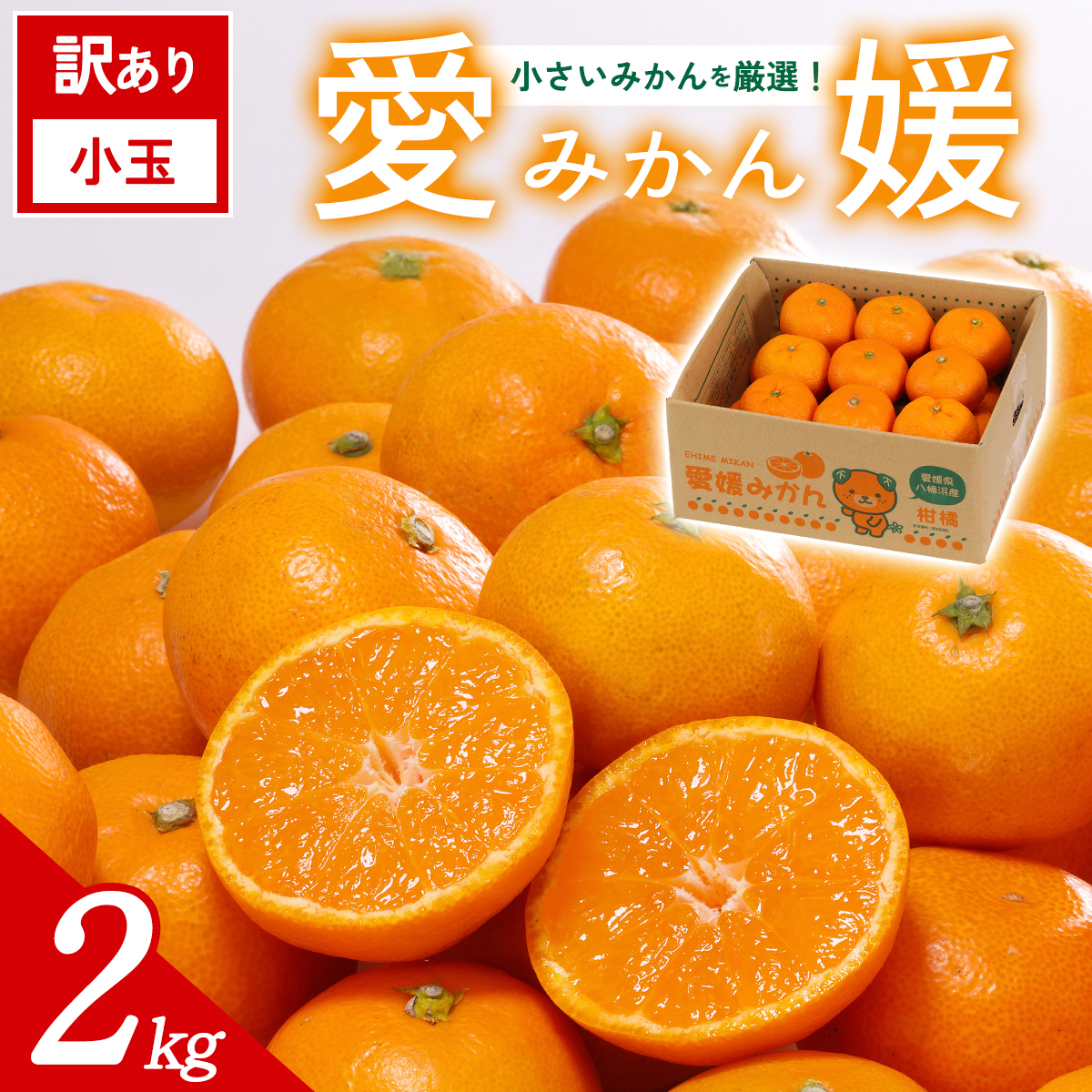 先行予約＜訳あり 愛媛県産 小玉みかん 合計約2kg＞ 『2026年11月以降順次出荷予定』 甘さ凝縮 フレッシュ ご家庭用 ご自宅 蜜柑 果肉 お試し 果物 柑橘 フルーツ オレンジ 国産 濃厚 果汁 産地直送 ミヤモトオレンジガーデン 愛媛県 西予市【常温】