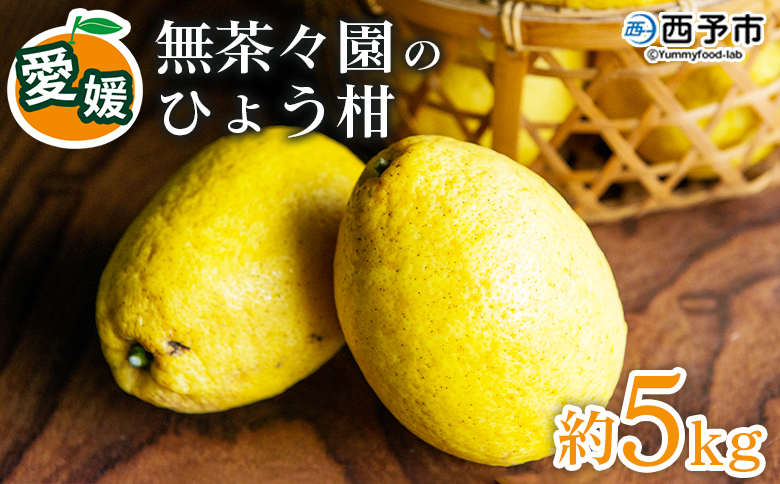 [先行予約][無茶々園のひょう柑 約5kg] フルーツ 果物 蜜柑 柑橘 ひょうかん 弓削瓢柑 期間限定 季節限定 特産品 愛媛県 西予市