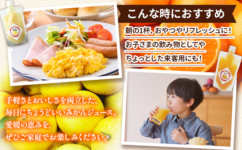 ＜温州みかん100％ストレートジュース パウチタイプ 160ml×1個＞『1か月以内に順次発送予定』果物 くだもの フルーツ 柑橘類 みかん 蜜柑 ミカン みかんジュース 飲料 渡江から一歩を踏み出す会 愛媛県 西予市【常温】